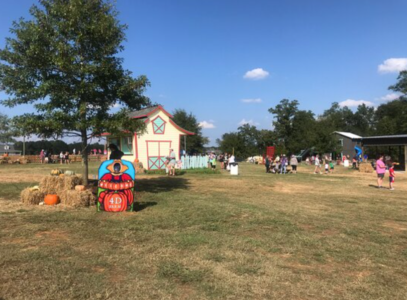 4D Farm, United States